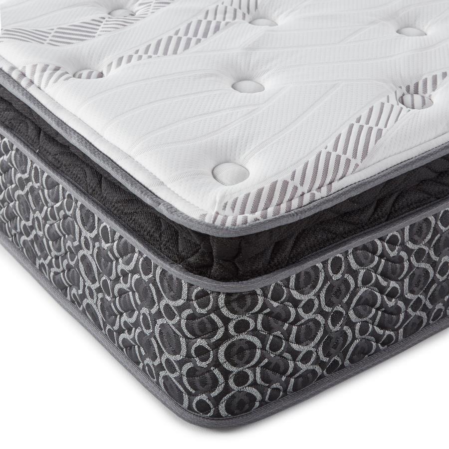 Sleep & Bedding